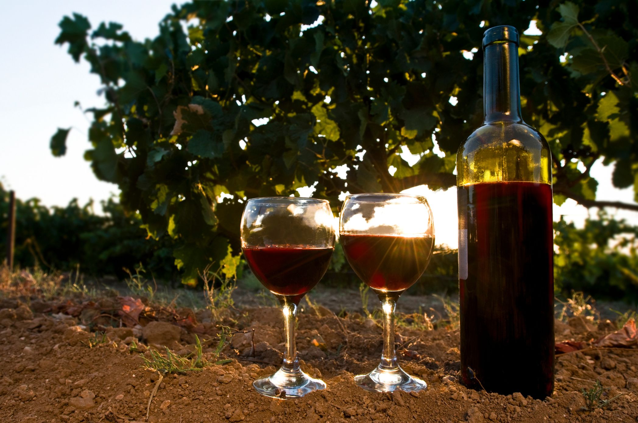 Un vin bio contient-ils des sulfites ?