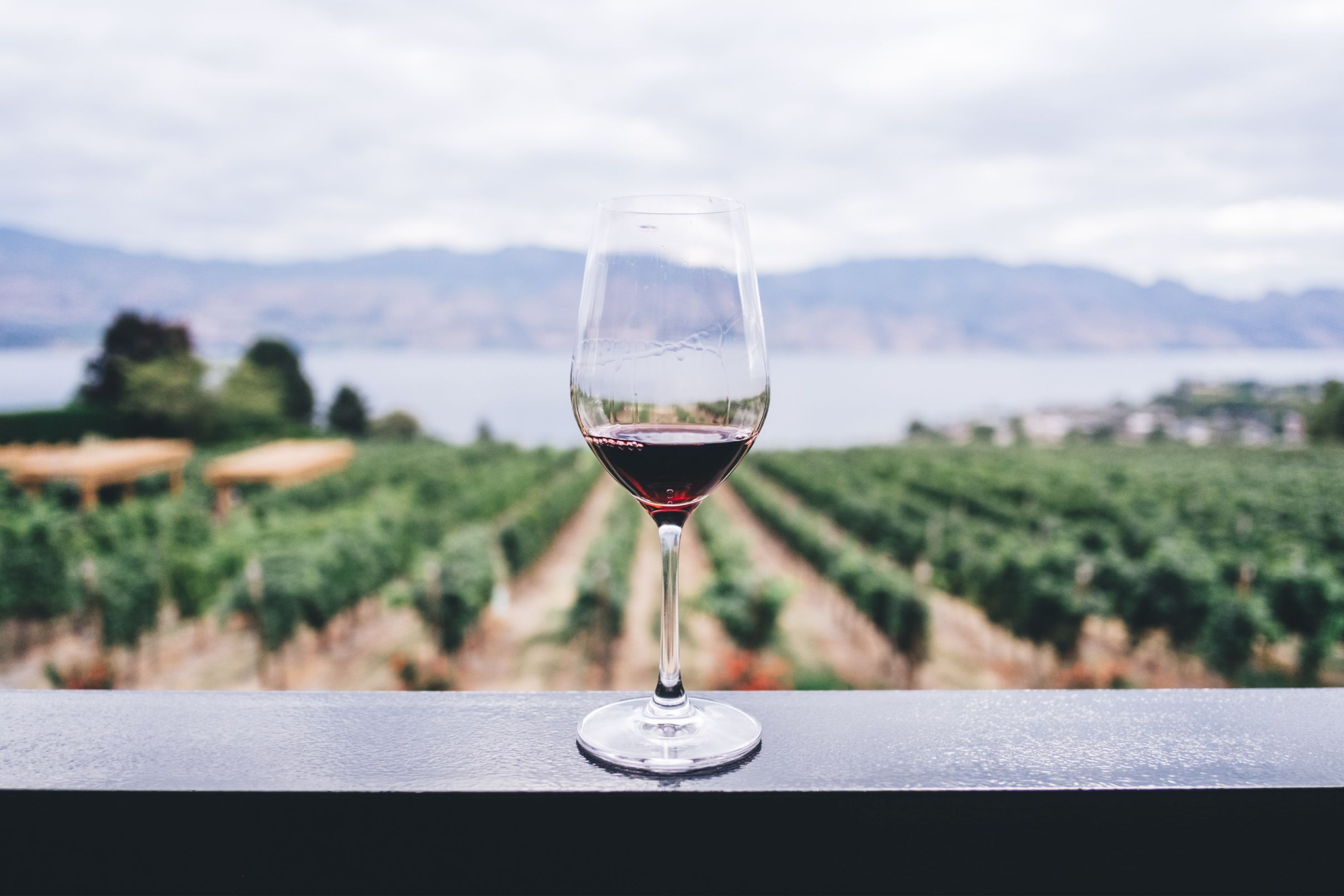 Est-ce que le vin nature contient des sulfites ?